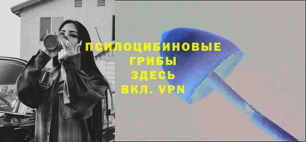 apvp Вязьма